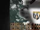 Modelo Novo 1