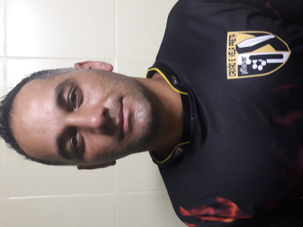 Modelo Novo 2