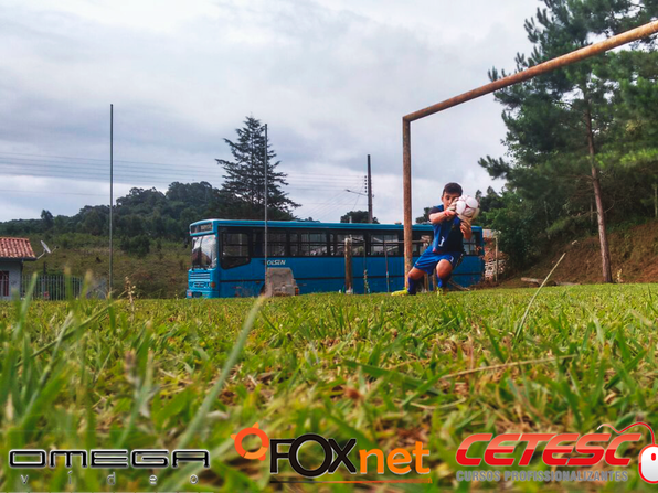 Treino Basico
