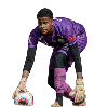 MARCUS VINICIUS