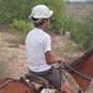 jair