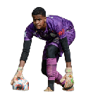 MARCUS VINICIUS