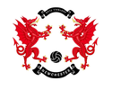Newchester Football Club