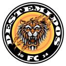 DESTEMIDOS FC