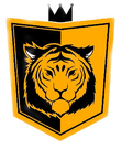Tigres futebol clube