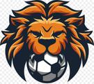 Leões do Futsal